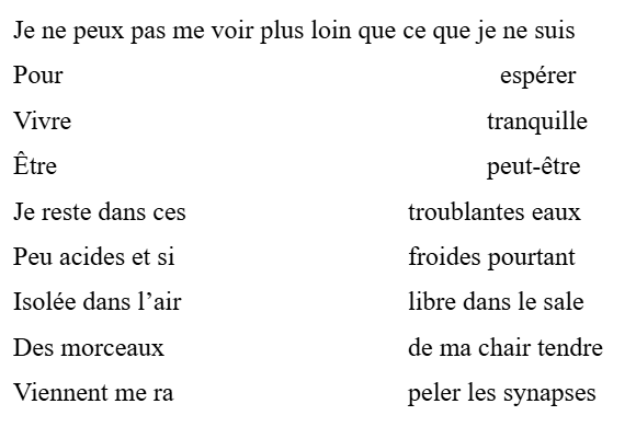 Je ne peux pas me voir plus loin que ce que je ne suis
Pour					              espérer
Vivre						tranquille
Être						peut-être
Je reste dans ces			troublantes eaux
Peu acides et si			froides pourtant
Isolée dans l’air			libre dans le sale
Des morceaux				de ma chair tendre
Viennent me ra			peler les synapses